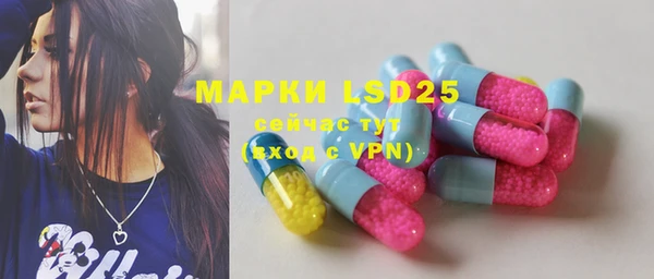 винт Щёлкино