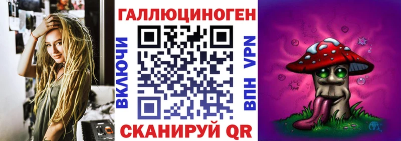 Купить  Томмот  Псилоцибиновые грибы прущие грибы 